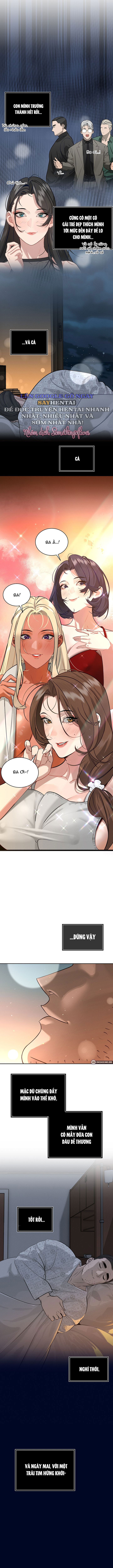 bo-chong-can-quet-tat-ca-moi-thu-chap-5-15 integer