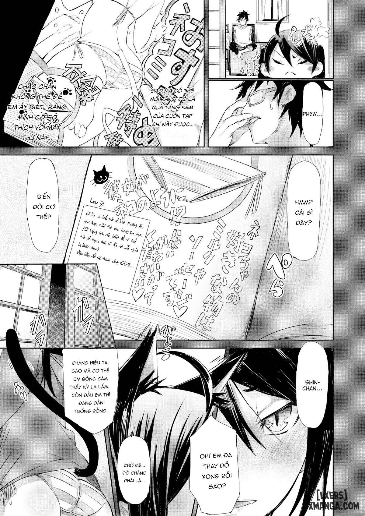 mem-va-chap-6-2 integer