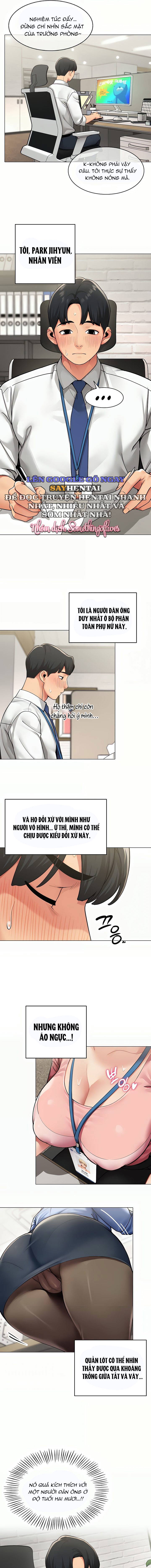 bao-cao-hieu-suat-tinh-duc-chap-1-2 integer