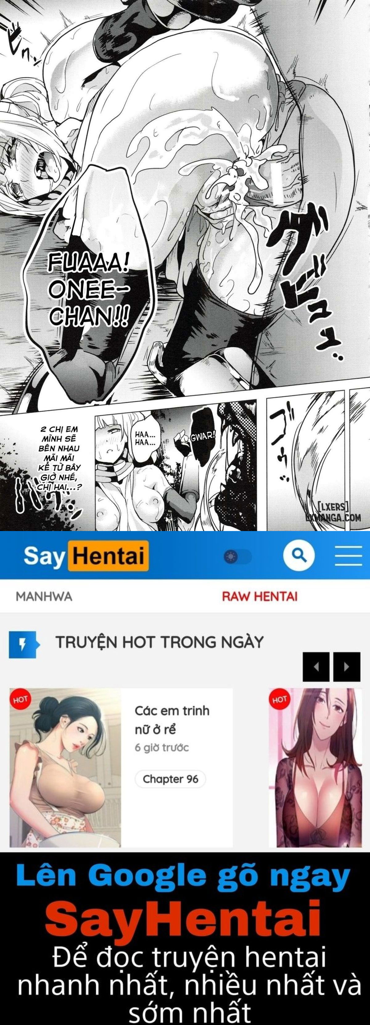 ogre-chap-5-15 integer