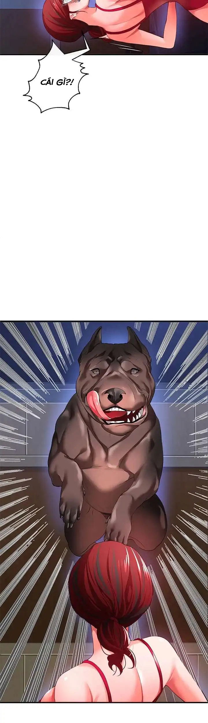 dan-ong-thuc-thu-chap-26-43 integer