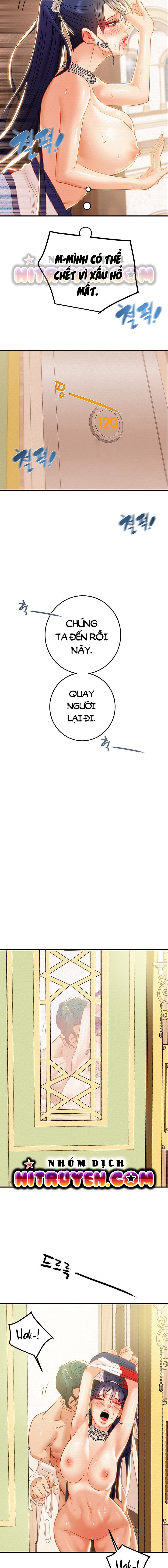 cay-bua-than-chap-12-13 integer