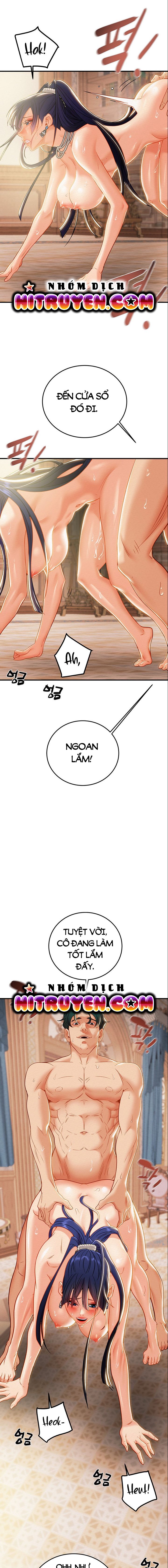 cay-bua-than-chap-12-16 integer