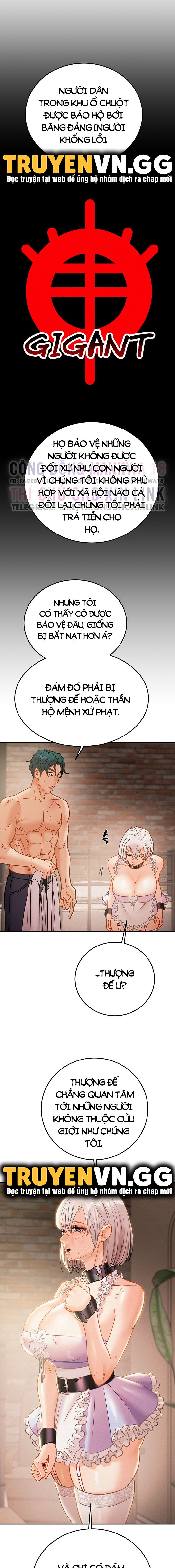 cay-bua-than-chap-15-5 integer