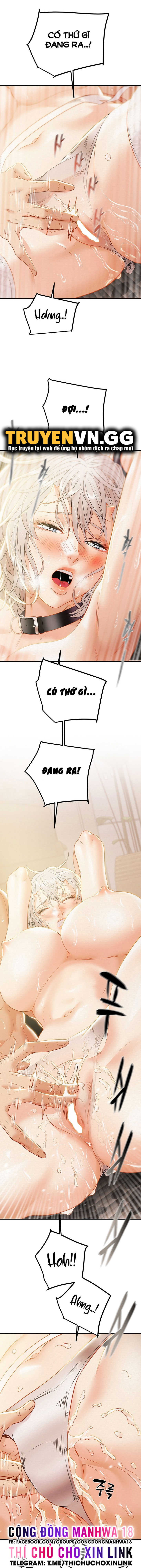 cay-bua-than-chap-17-5 integer