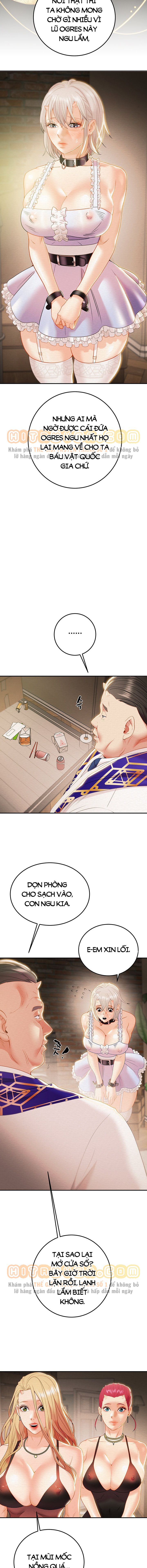 cay-bua-than-chap-18-6 integer