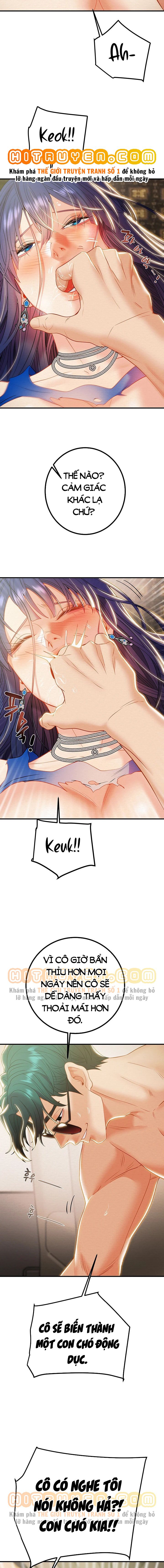 cay-bua-than-chap-19-12 integer