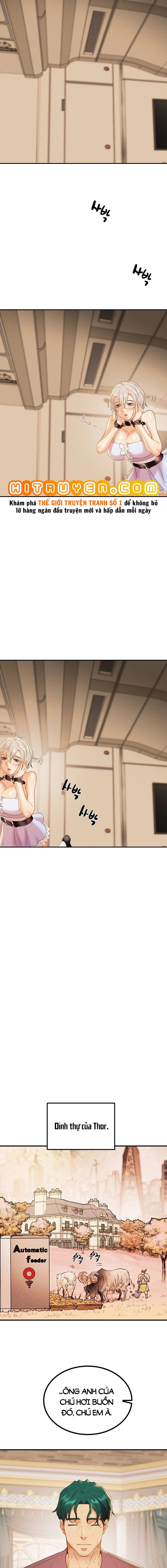 cay-bua-than-chap-20-16 integer