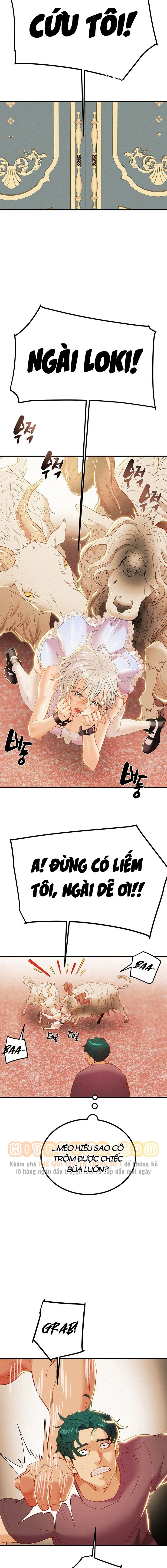 cay-bua-than-chap-20-20 integer