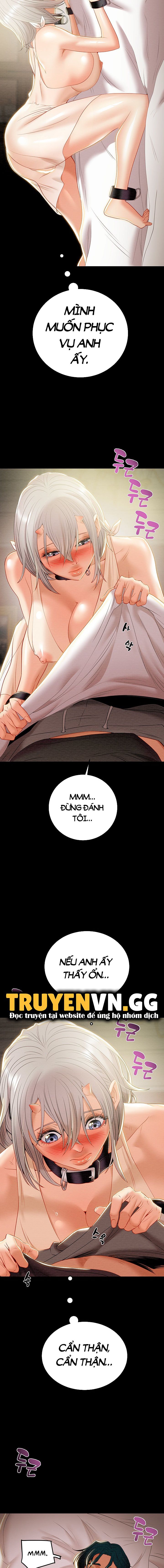 cay-bua-than-chap-25-6 integer