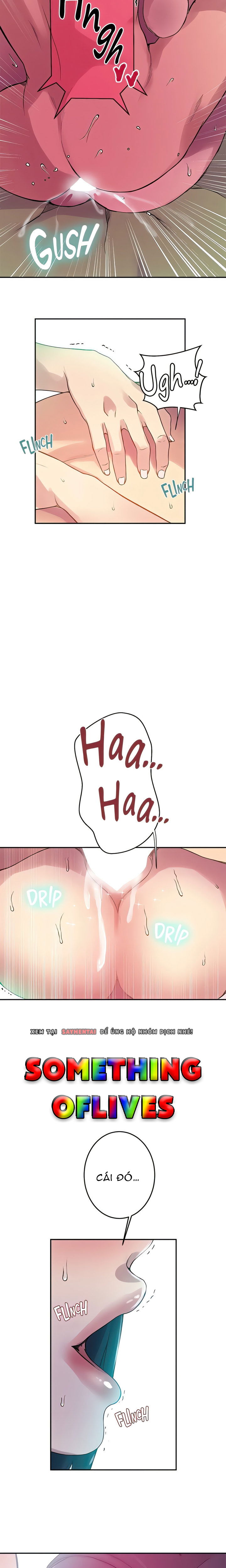 lop-hoc-gia-dinh-069-chap-204-4 integer