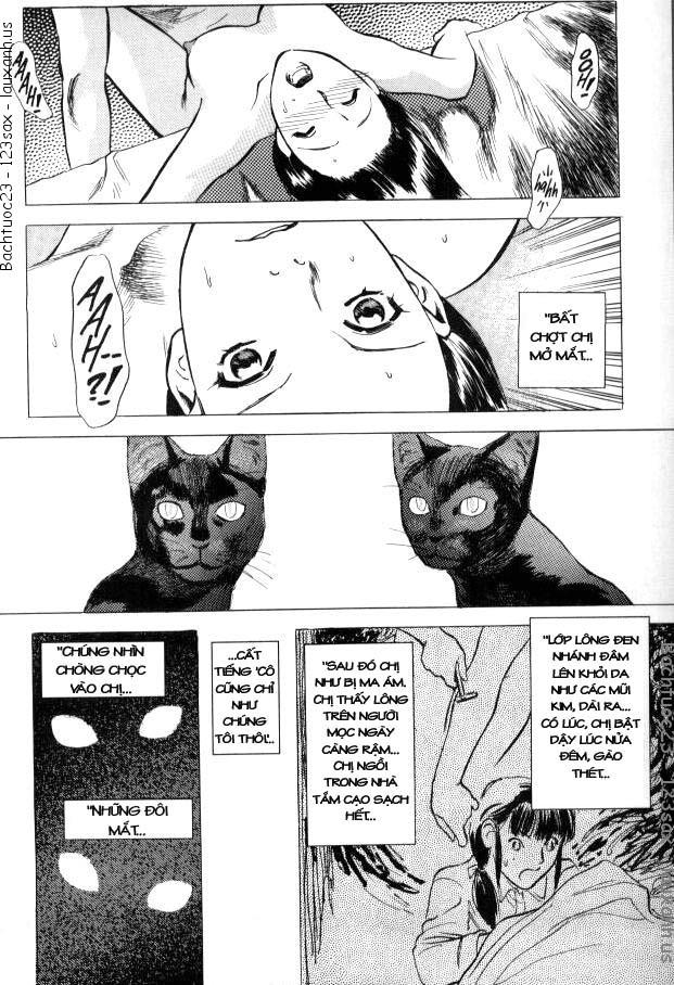 lust-chap-9-19 integer