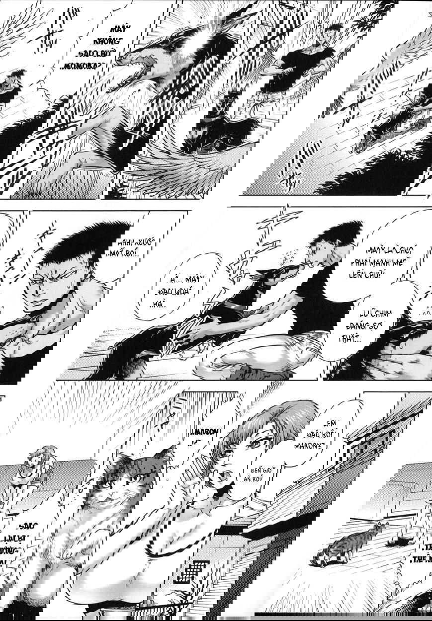 human-lovers-committee-chap-8-2 integer