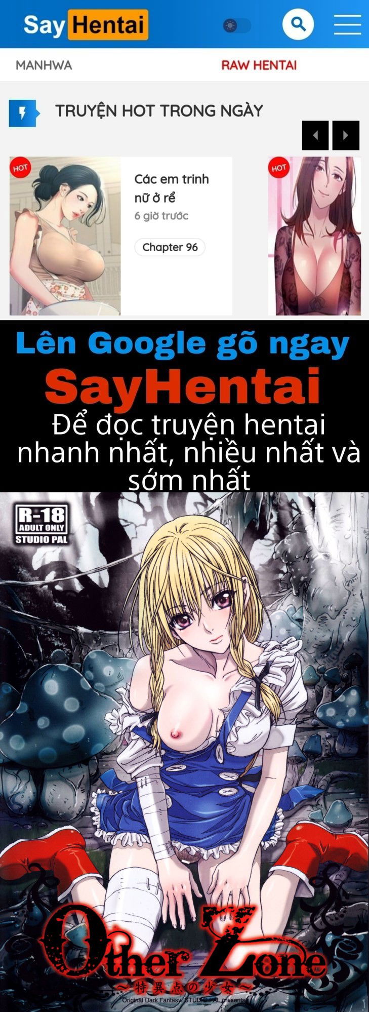 other-zone-chap-1-0 integer