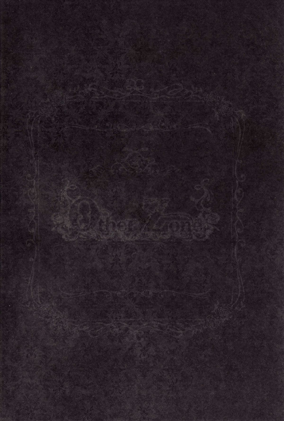 other-zone-chap-1-2 integer