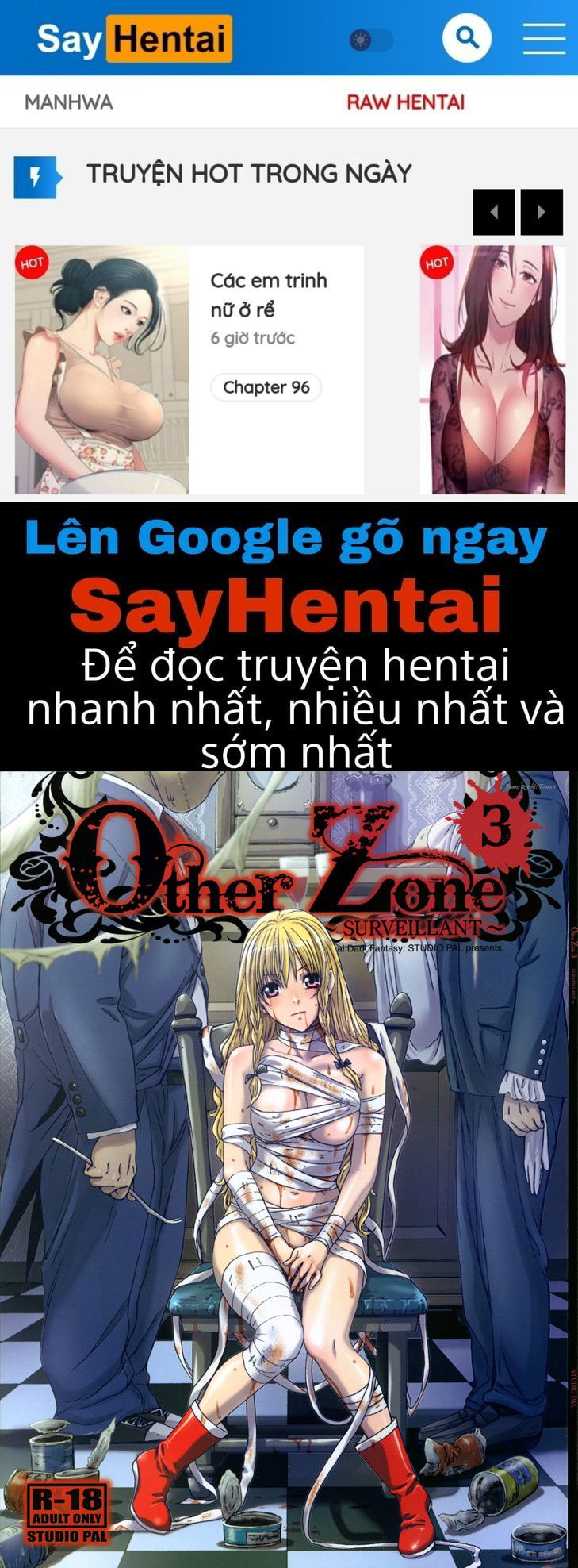 other-zone-chap-3-0 integer