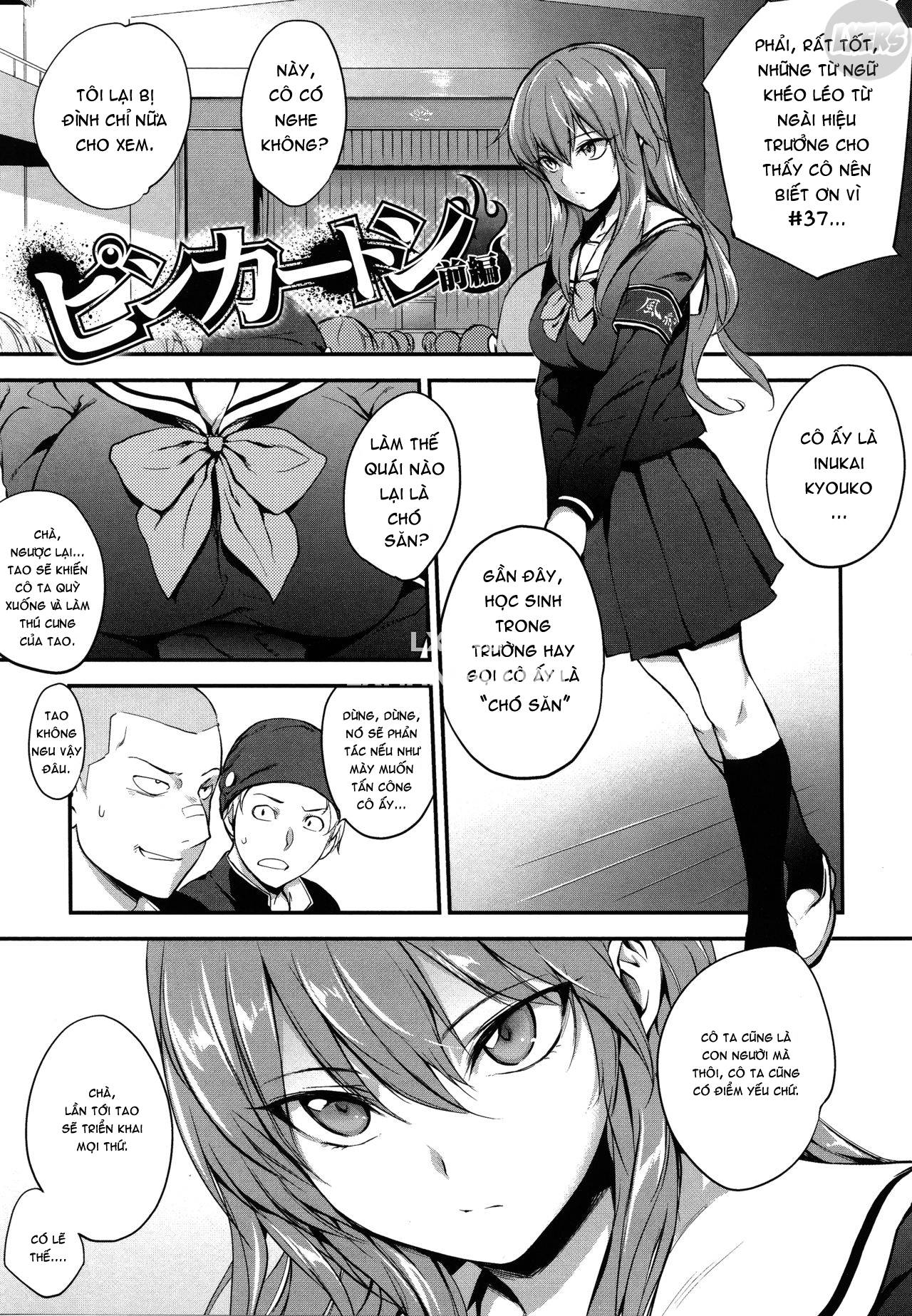 pinkerton-chap-3-3 integer