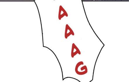 chi-dau-co-don-chap-17-55 integer