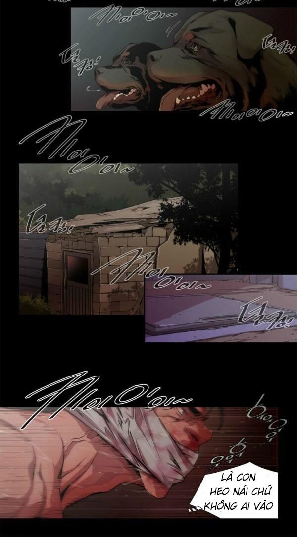 sat-nhan-tinh-duc-chap-5-14 integer