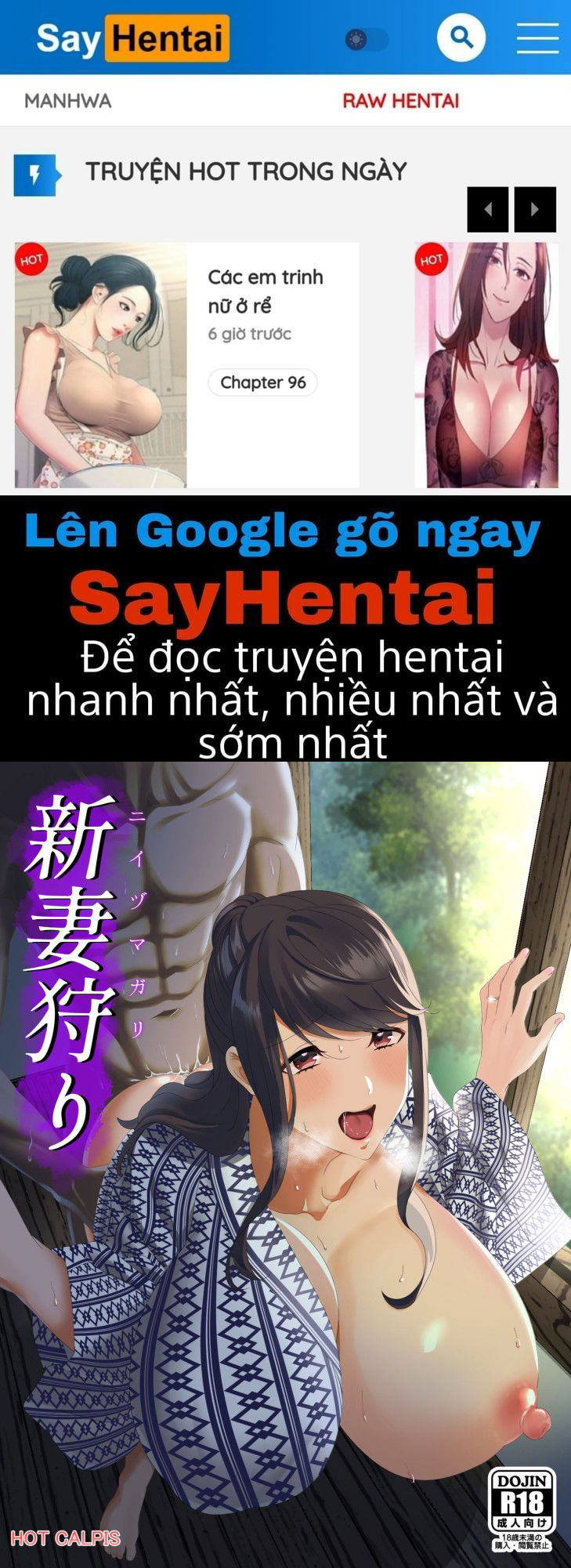 niizuma-gari-chap-0-0 integer