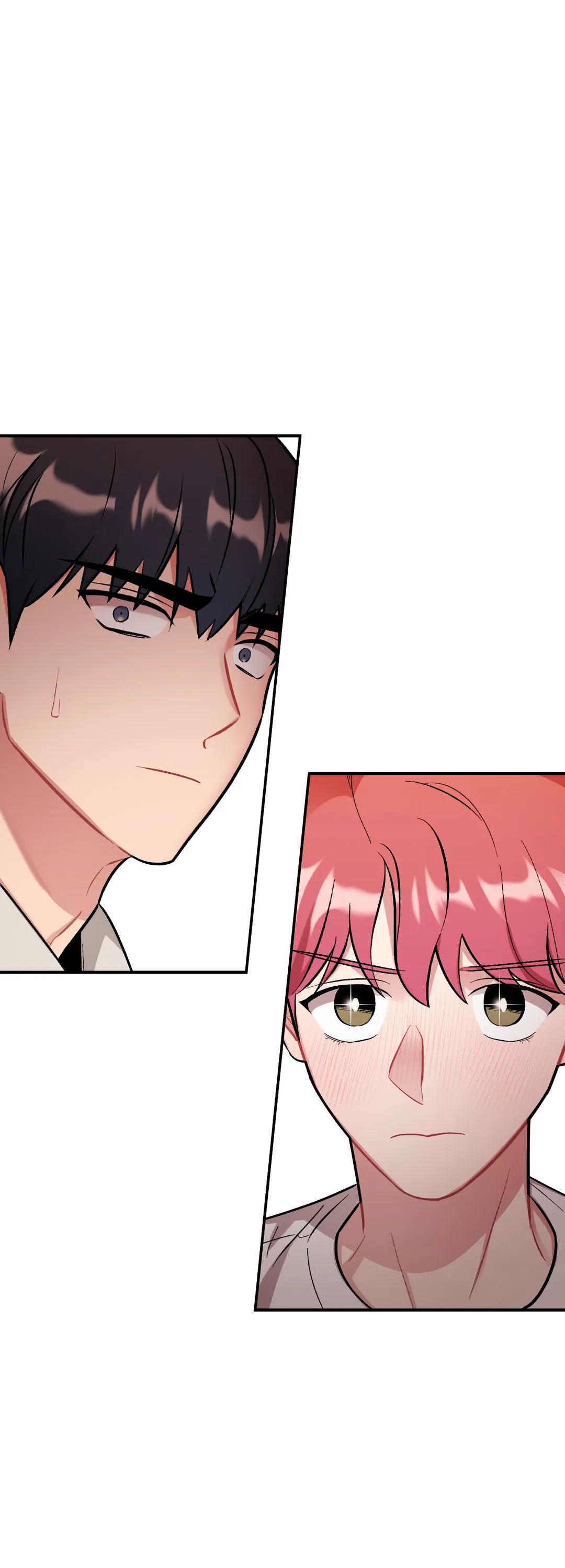 cherry-picking-chap-2-1 integer