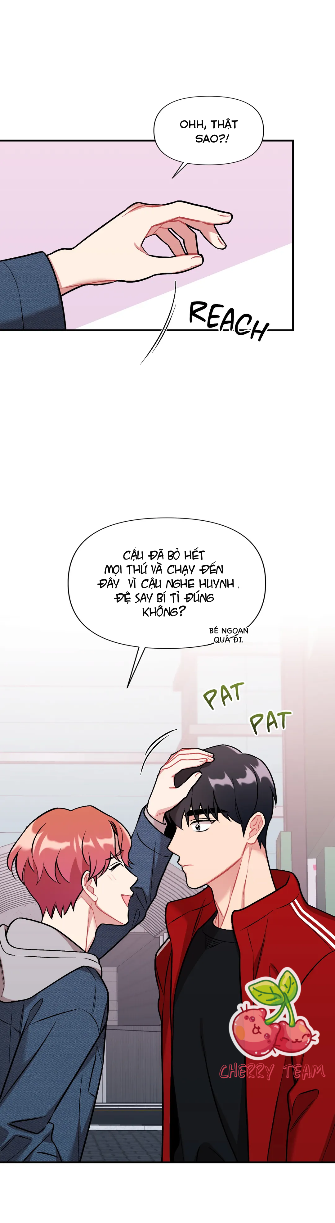 cherry-picking-chap-3-19 integer