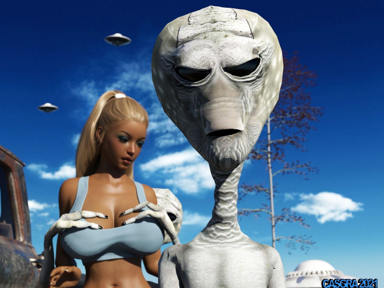 casgra-chap-3-12 integer