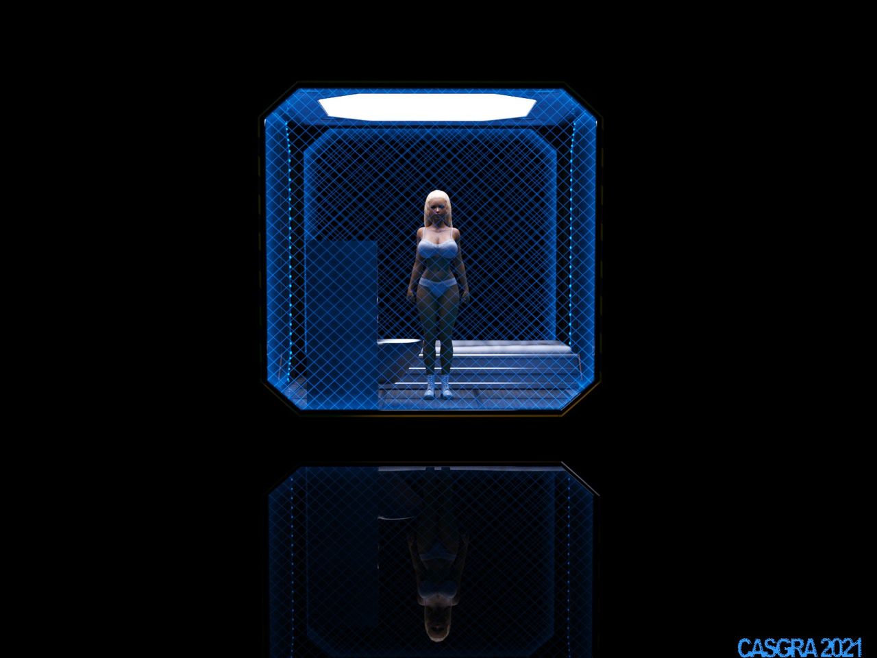 casgra-chap-3-30 integer