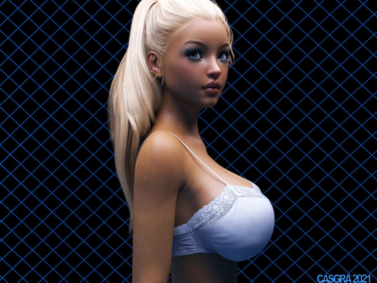 casgra-chap-3-32 integer