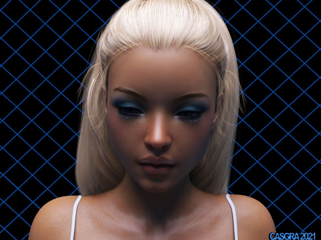 casgra-chap-3-43 integer