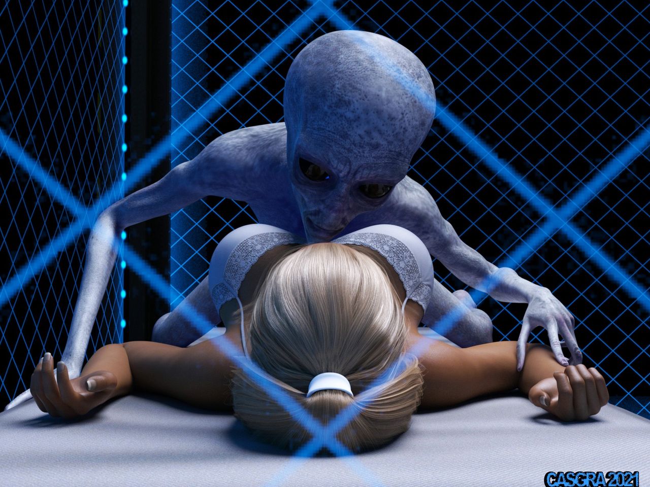 casgra-chap-3-53 integer