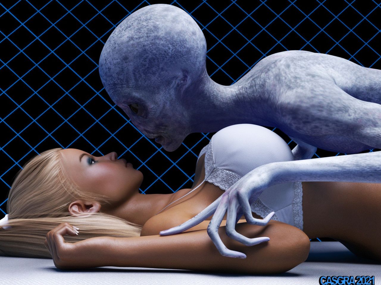 casgra-chap-3-54 integer