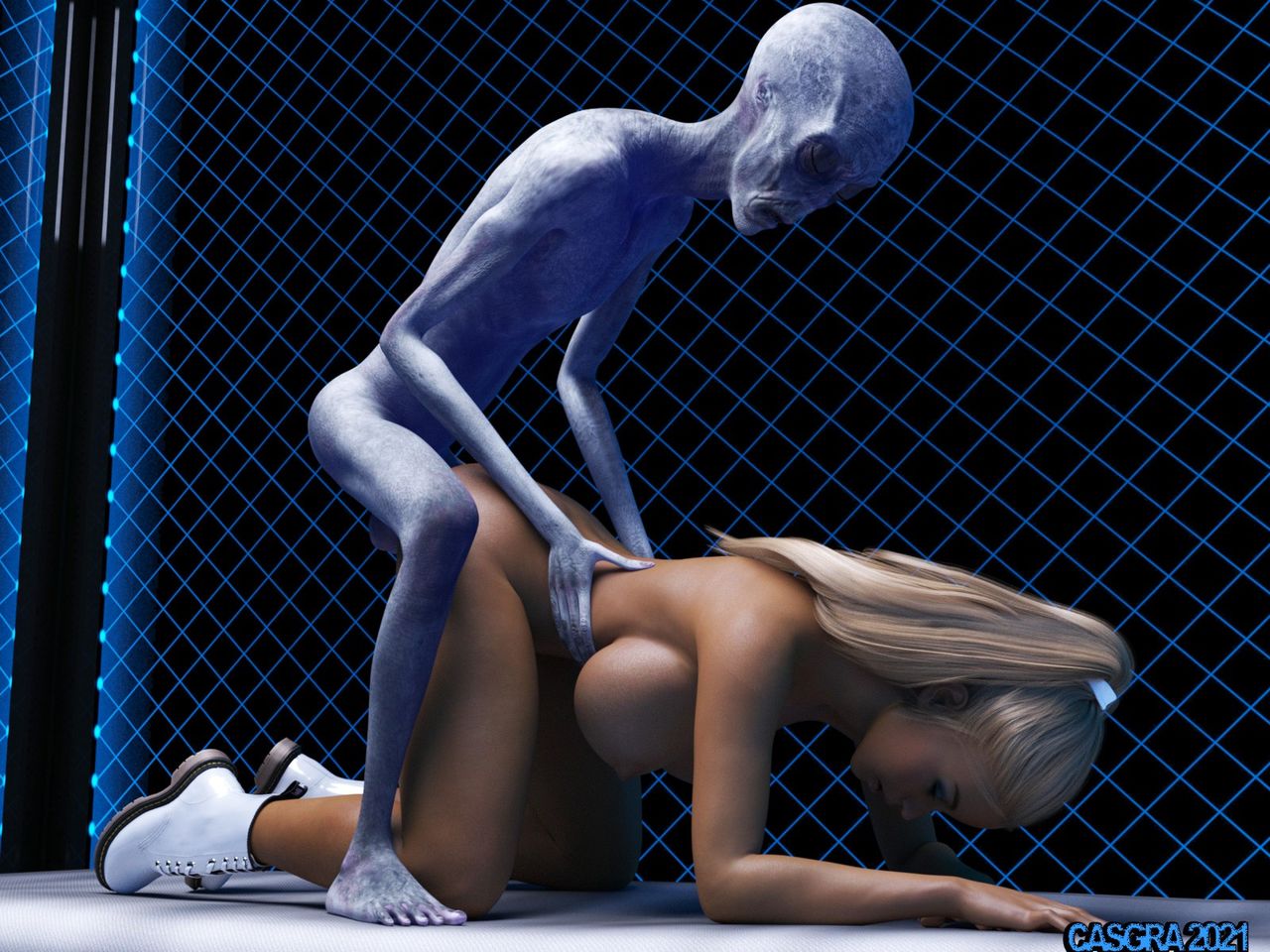 casgra-chap-3-69 integer