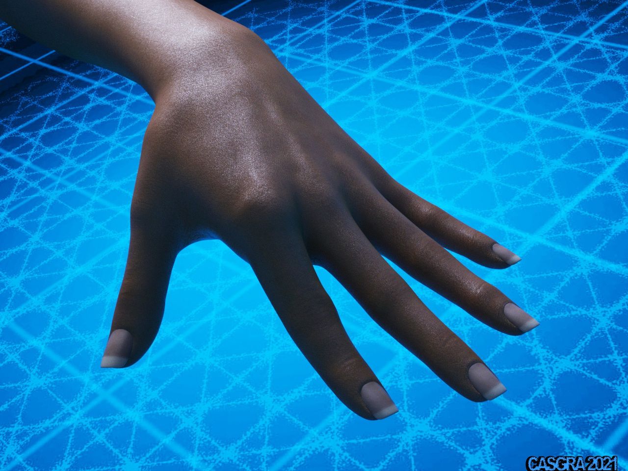 casgra-chap-3-74 integer