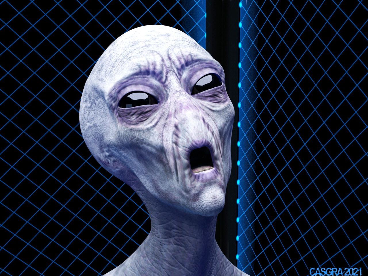 casgra-chap-3-86 integer