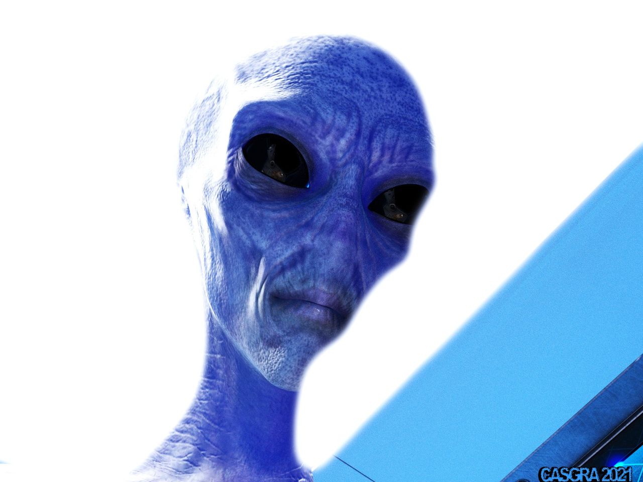 casgra-chap-3-89 integer