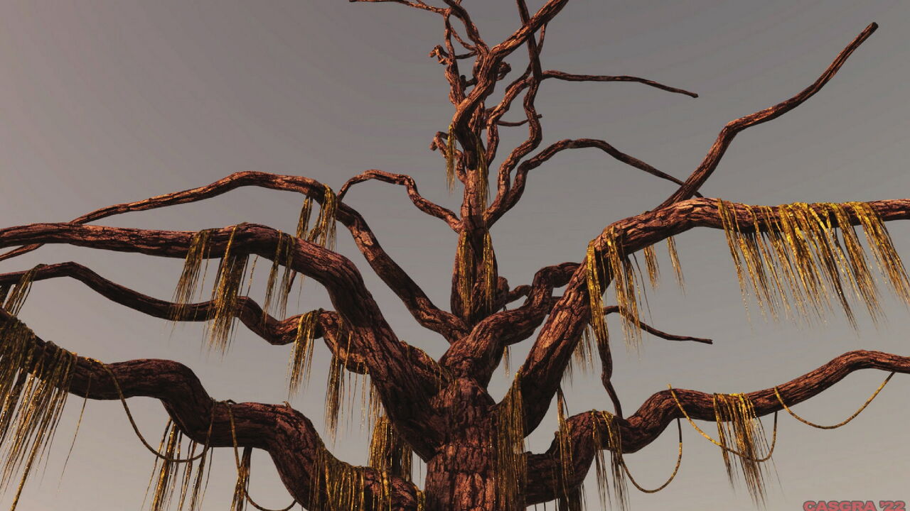 casgra-chap-4-30 integer