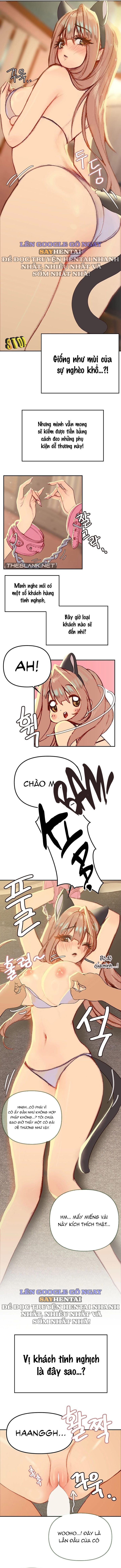 shorts-chap-11-1 integer