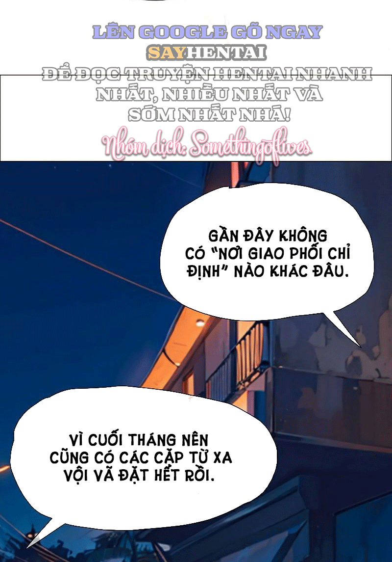 shorts-chap-20-5 integer