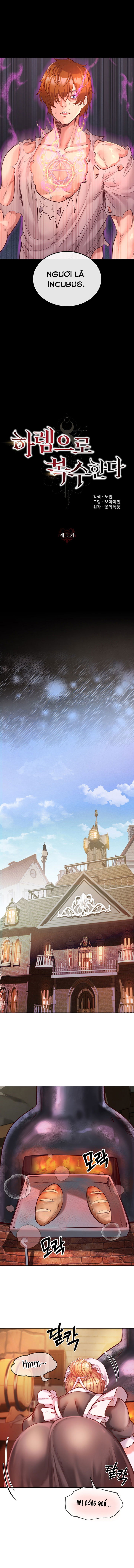 tra-thu-bang-dan-harem-chap-1-10 integer