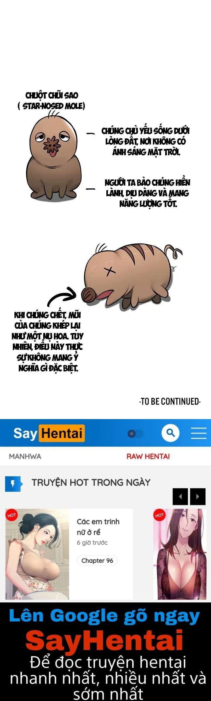 thong-tri-chap-45-12 integer