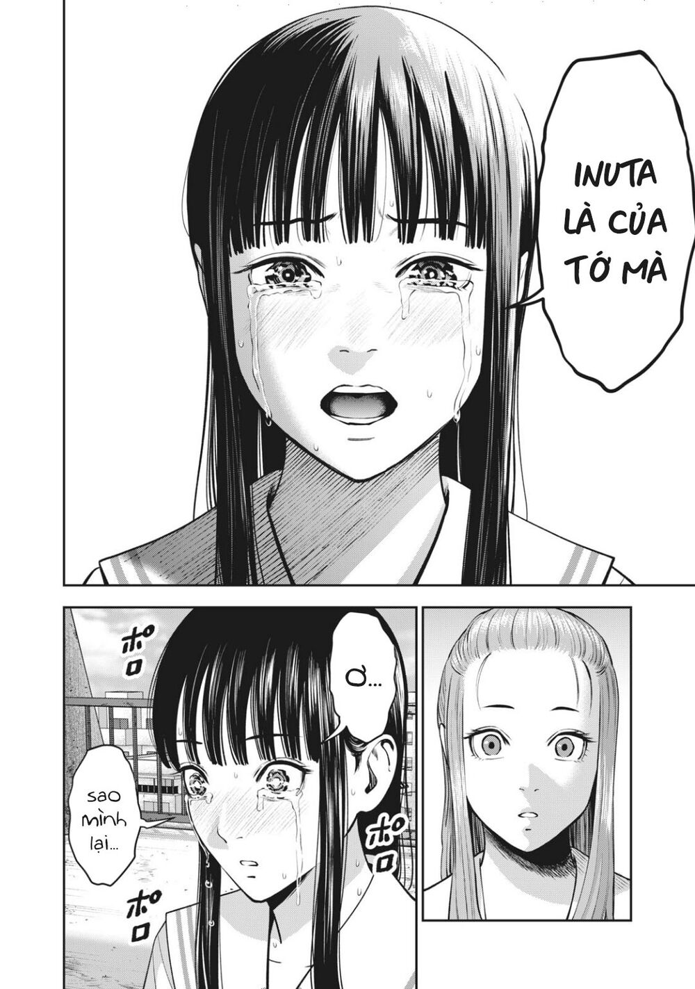 trai-cam-chap-29-17 integer