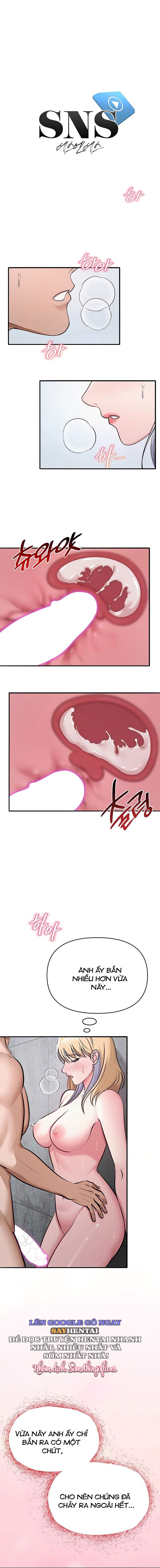 sns-chap-31-3 integer